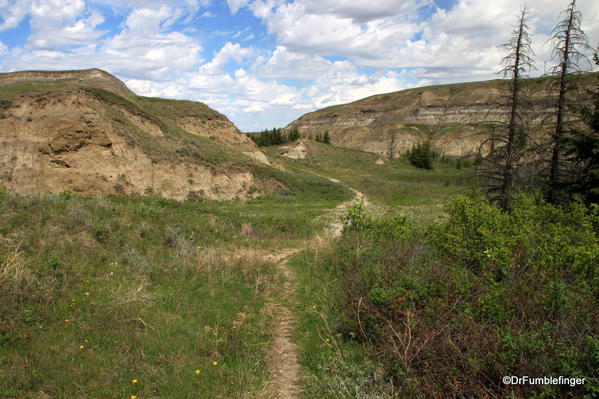 Path on the floor of Horseshoe Canyon