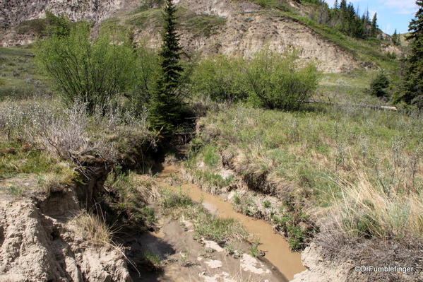 Creek on the floor of Horseshoe Canyon
