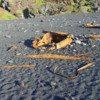 Ship wreckage.: Dritvik - Djupalonssandur, Iceland