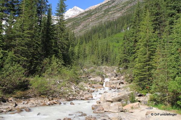 Louise Creek, draining the plain of the Six Glaciers