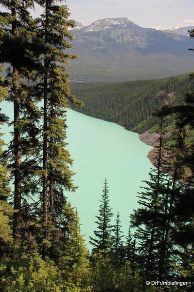View of Lake Louise
