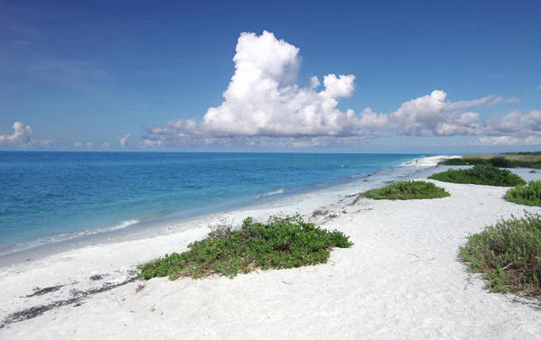 sanibel-island-beach-white-sand