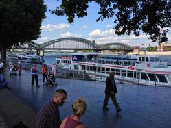 Busy River Rhine