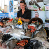 Weymouth Seafood festival-2
