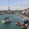 Weymouth Seafood festival-3