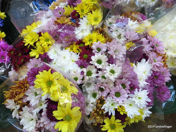 Flowers, St Catharines Market, Niagara Peninsula, Ontario