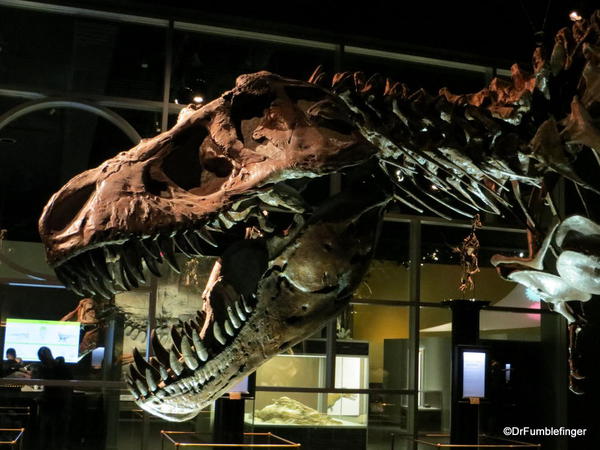 t-rex-royal-tyrrell-museum