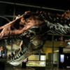 t-rex-royal-tyrrell-museum