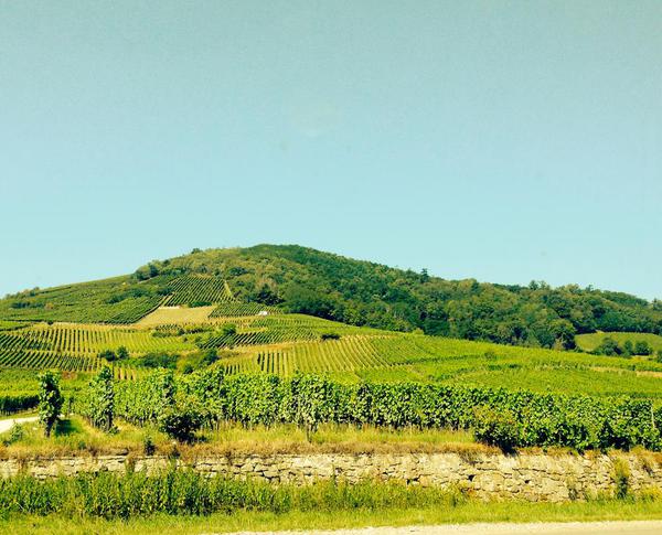 Alsace Route du Vin