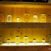 The National Steinbeck Center, Salinas.  Specimens from Doc Ricketts lab