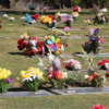 Salinas' Garden of Memories Cemetery.  Mother's Day flowers