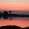 Hippo pool at Sunset, Okavango Delta, Botswana