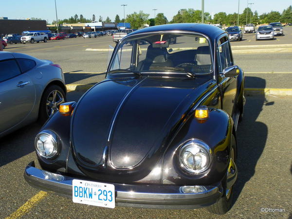 Early Seventies VW Bug (1)