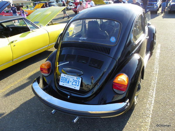 Early Seventies VW Bug (3)