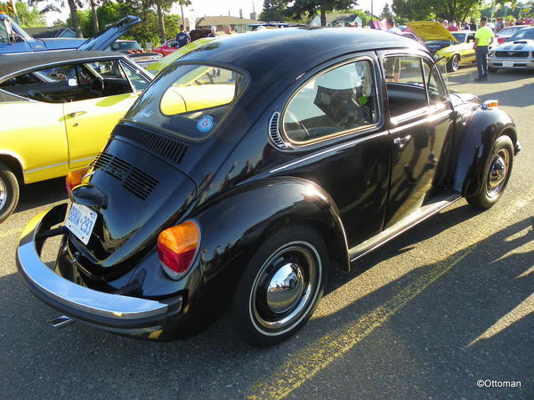 Early Seventies VW Bug (4)