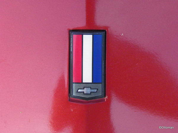 1988 Chevrolet Camaro 305 5 Speed (3)