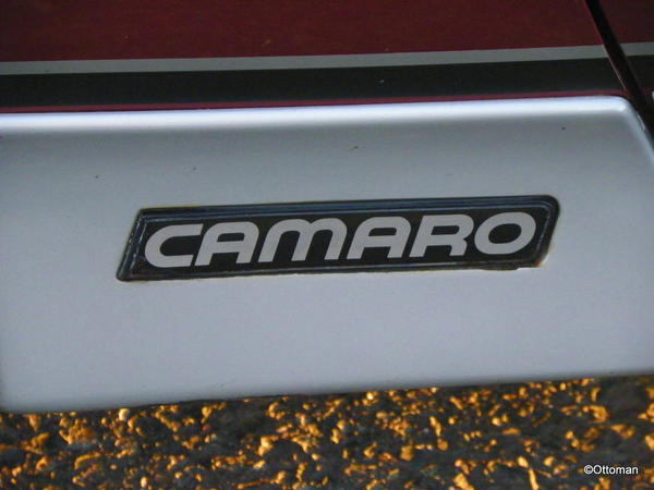 1988 Chevrolet Camaro 305 5 Speed (5)