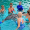 Puerto Vallarta Trainer for a Day.  Dolphin introduction