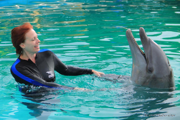 Puerto Vallarta Trainer for a Day. Dancing with the dolphins