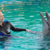 Puerto Vallarta Trainer for a Day.  Dancing with the dolphins