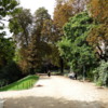 Parc des Buttes Chaumont, Paris: Where Gumbo Was (#67)