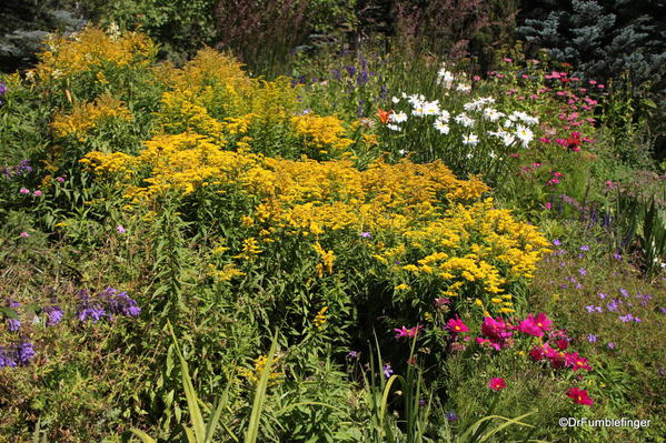 Mountain Perennial Garden, Betty Ford Alpine Garden, Vail