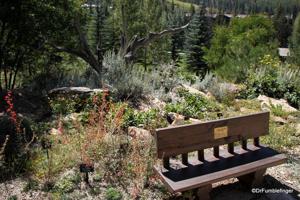 Bench and a view, Betty Ford Alpine Garden, Vail
