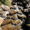 Stream, Betty Ford Alpine Garden, Vail