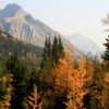 Fall colors, Highwood Pass, Kananaskis Country