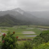 Tropical storm conditions existed with rains drenching the Hanalei Lookout: The taro fields look soaked!