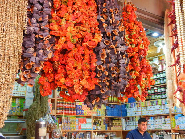 Istambul 2014 145 dried eggplant and peppers 