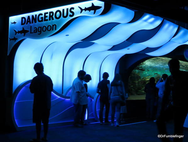 Entering the Dangerous Lagoon's tunnel and moving walkway, Ripley's Aquarium of Canada, Toronto
