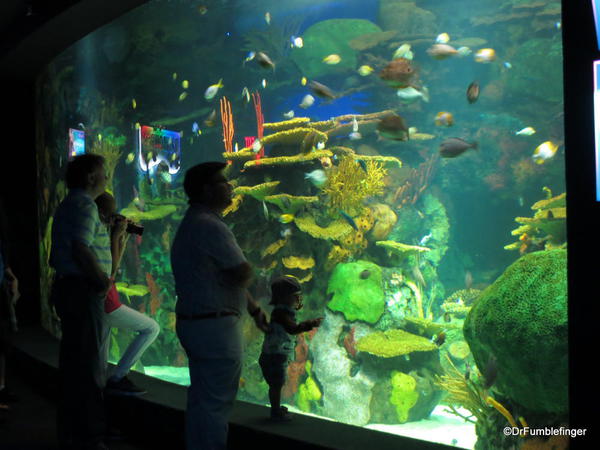 Rainbow Reef Gallery, Ripley's Aquarium of Canada, Toronto