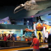 Discovery Center, Ripley's Aquarium of Canada, Toronto