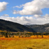 Fall Colors, along the highway 40 towards the  Peter Lougheed Provincial Park.