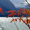 Fall Colors, Upper Kananakis Lake, Alberta