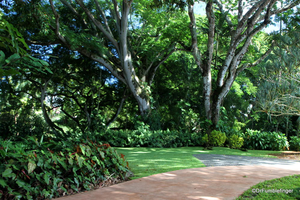 A Tropical Oasis Wahiawa Botanical Garden Oahu Travelgumbo