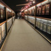 Graceland, Memphis.  Trophy room.  Hall of Gold -- an amazing site