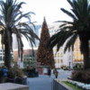 Macy's Christmas Tree: Union Square, San Francisco