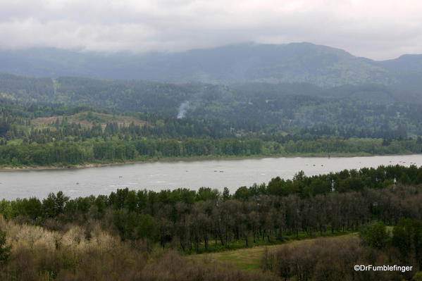 Oneonta Gorge, adjoining the Columbia River Gorge, Oregon