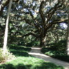 Washington Oaks  Gardens