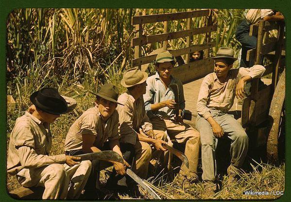 Sugar_cane_workers_resting_1a34016v