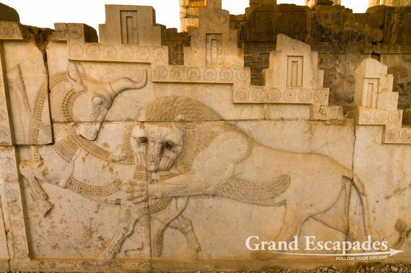 The Apadana, Persepolis