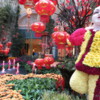 05 Bellagio Chinese New Year