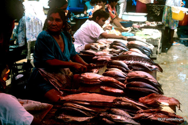 Iquitos Market. Fish from the Amazon