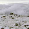 Mt. Kilimanjaro.  Fresh snow at Dawn, Sheffield Camp