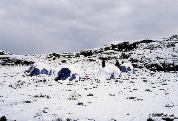 Mt. Kilimanjaro. Fresh snow at Dawn, Sheffield Camp