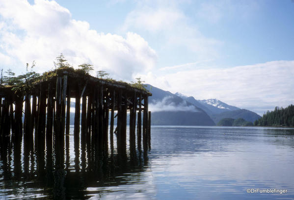 Abandoned railway bridge, Moresby Island. Used to harvest sitka spruce trees, important in the manufacture of planes in WWII