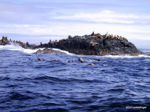 Seal Rock, Haida Gwaii