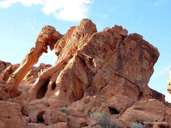 Elephant rock, Valley of Fire State Park